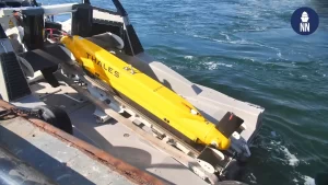Thales TSAS on USV.jpg